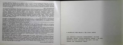 Theodore Markellos Exhibition Catalog 1967 — Theodoros Markellos