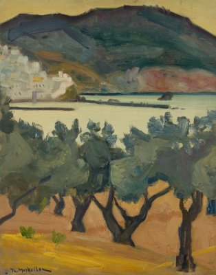Σκοπελος αποψη,προτο πλανο ελιες — Theodoros Markellos